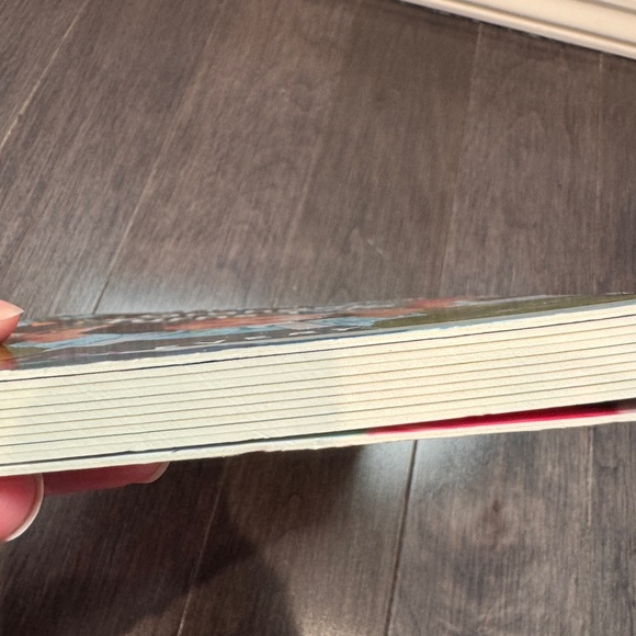 Lovevery Graham Turns Two Colorful Kids Learning Board Book Toddler Baby - Picture 3 of 5